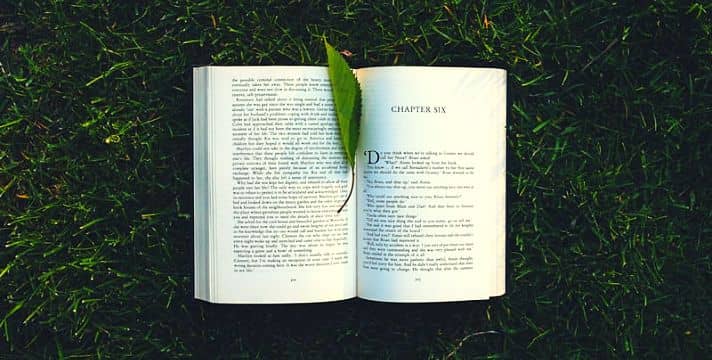 Essay on My Favorite Book in English