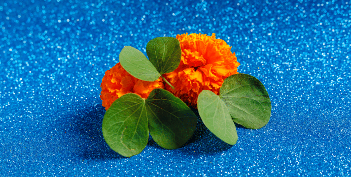 Essay on Indian Festivals in English For Students